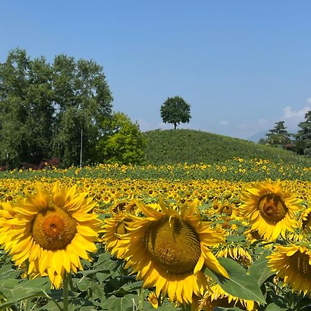 Borghetto San Biagio Relais Agriturismo Bed & Breakfast Тиене Екстериор снимка